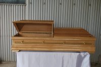 Slika 8