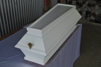 Slika 30